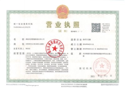 湖南智能服务赋能企业一站式服务 开启高效便捷新篇章