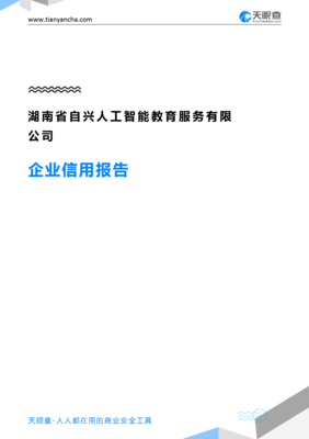湖南省自兴人工智能教育服务企业信用报告与湖南智能服务发展分析